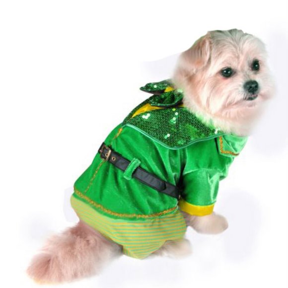 PamPet Little Leprechaun Boy Halloween Dog Costume